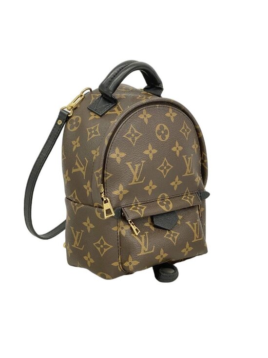 Louis Vuitton Backpack Monogram Palm Springs Mini Brown main image 9